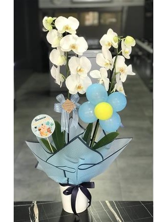 Çiftdal  Orkide Bebek Çiçeği