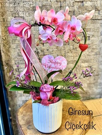 Aşk Pembesi Kalp Orkide 