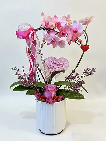Aşk Pembesi Kalp Orkide 