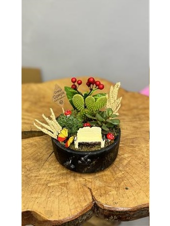 Siyah Sukulent Bahçe