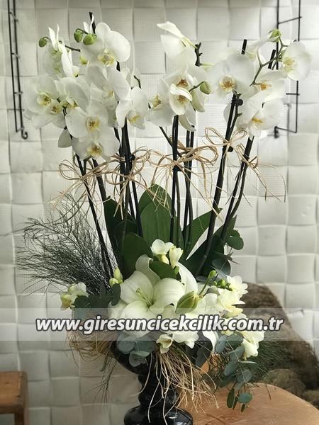 6 dalı orkide arajmanı