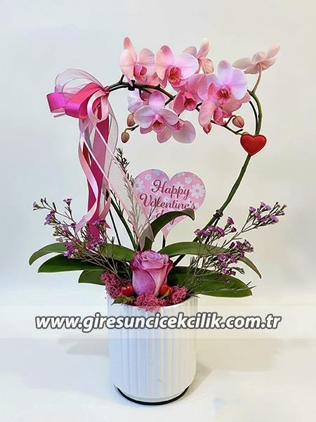Aşk Pembesi Kalp Orkide 