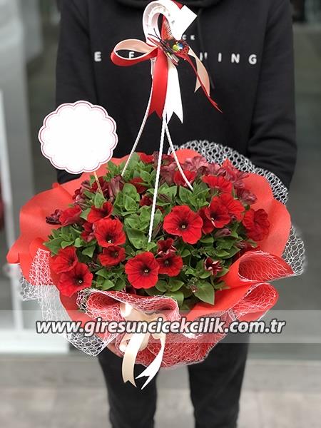 Askılı Kırmızı Petunya Çiçeği