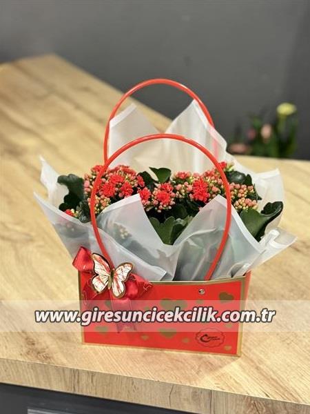 Çantada 2li Kalanşo Kırmızı