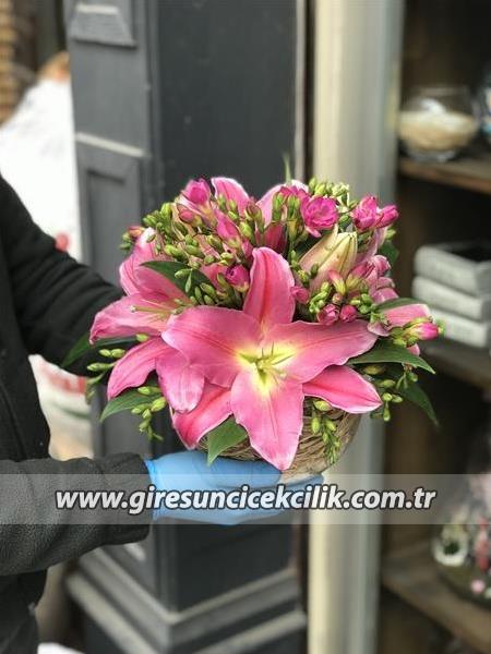 Fanusta Pembe Düşler