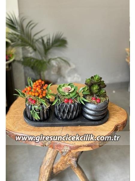 3lü Set Yapay Sukulent