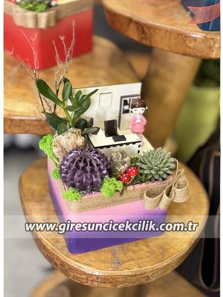 Pembe Öğretmen bahçesi