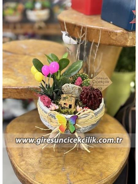 Taş Ev Kaktüs Bahçesi