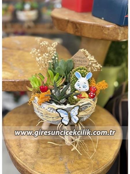 Tavşanlı Sukulent Bahçesi