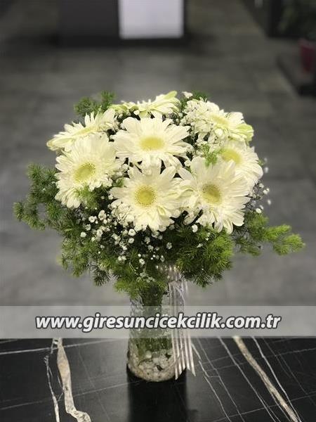 Vazoda Beyaz Celbera