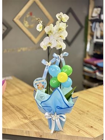 Çiftdal  Orkide Bebek Çiçeği