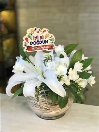 giresun cicek galerisi