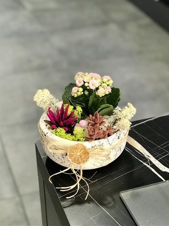 Kalanşo Bahçesi Pembe