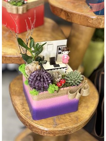 Pembe Öğretmen bahçesi